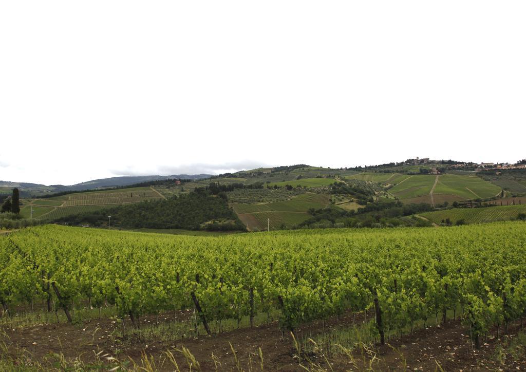 Podere Il Poggiolo Pontassieve Exterior photo